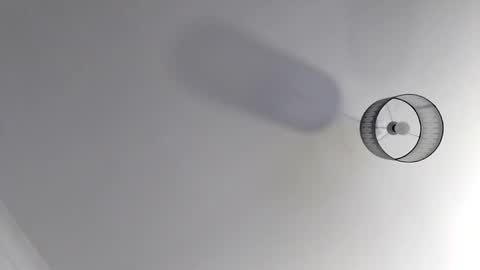 bobby160968 online show from November 19, 2025, 7:03 pm