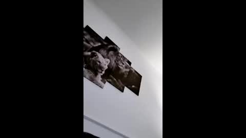 bobby160968 online show from January 8, 2026, 6:43 pm