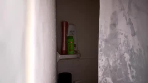 Snapshot of bobfish663 chatting on January 31, 2026, 11:03 pm bobfish663 online show from January 31, 2026, 11:03 pm