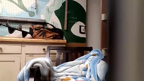 bobmarleybd1420 online show from April 11, 2026, 10:08 am