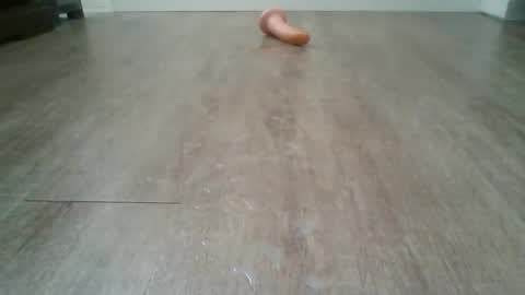 bocul1969 online show from February 3, 2026, 2:55 pm