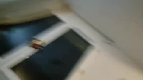 bomale89 online show from December 22, 2024, 11:09 pm