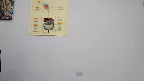 Snapshot of boner_steve chatting on September 14, 2025, 3:49 am Boner Steve online show from September 14, 2025, 3:49 am