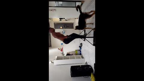 Snapshot of boner_steve chatting on November 3, 2025, 7:26 pm Boner Steve online show from November 3, 2025, 7:26 pm