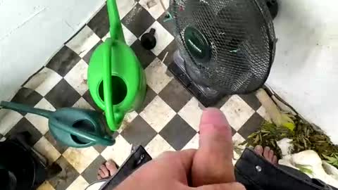 bonershot online show from March 23, 2026, 5:39 pm