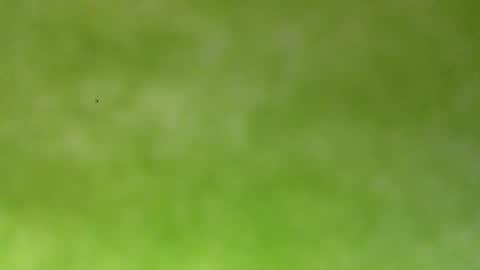 Snapshot of bonershow chatting on January 18, 2026, 4:22 pm bonershow online show from January 18, 2026, 4:22 pm