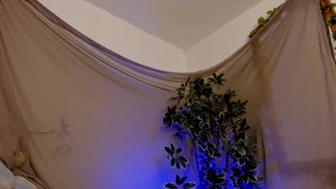 Snapshot of bonniecute_ chatting on October 11, 2025, 11:47 pm online show from October 11, 2025, 11:47 pm