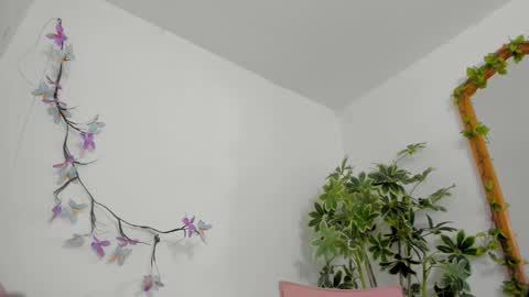   online show from February 1, 2026, 12:53 am