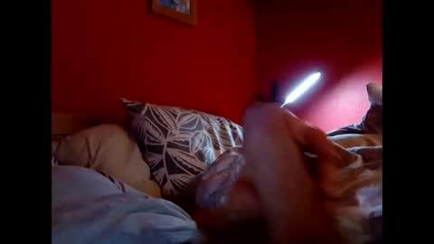 bonzoband online show from February 9, 2026, 11:25 am