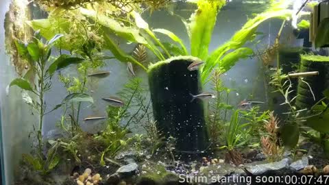 Booker Baxton online show from December 25, 2024, 4:01 am