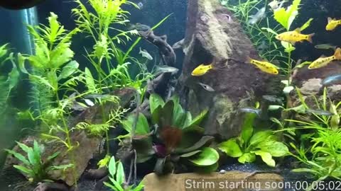 Booker Baxton online show from January 5, 2025, 4:04 am