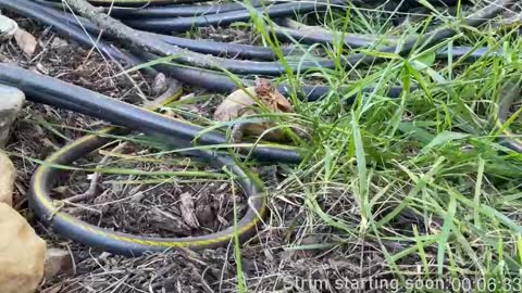 Booker Baxton online show from March 5, 2025, 4:02 am