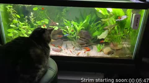 Booker Baxton online show from September 9, 2025, 3:06 am