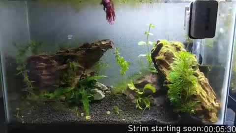 Booker Baxton online show from October 10, 2025, 3:05 am