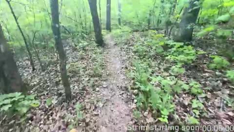 Booker Baxton online show from November 5, 2025, 4:01 am