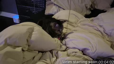 Booker Baxton online show from December 17, 2025, 4:07 am