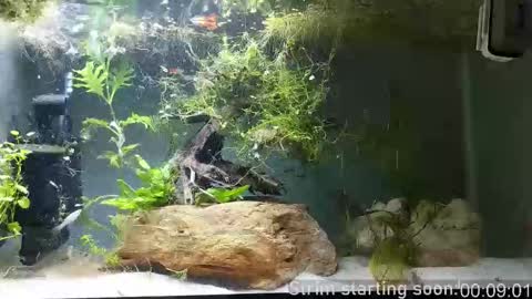 Booker Baxton online show from February 22, 2026, 4:02 am