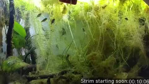 Booker Baxton online show from March 31, 2026, 2:57 am