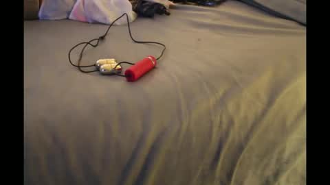 Bookwormzzy2a online show from December 21, 2025, 11:50 am