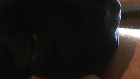 bossram160 online show from March 6, 2025, 9:36 am