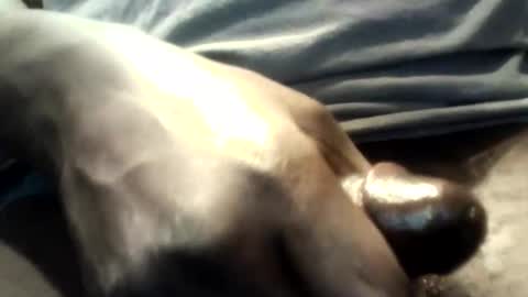 botofogo online show from October 12, 2025, 1:59 am