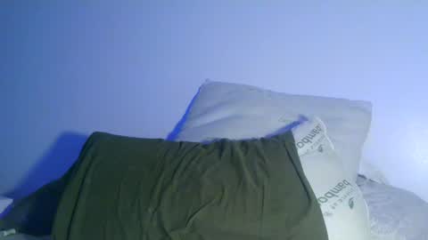 Snapshot of bowser2334 chatting on December 30, 2024, 4:20 am Jason Jax online show from December 30, 2024, 4:20 am