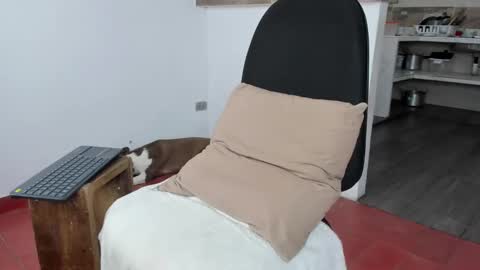 boy_jerry online show from December 3, 2024, 2:38 pm