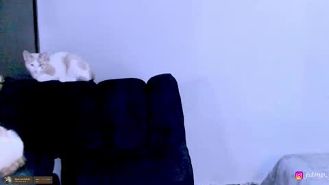 miguel  online show from November 24, 2025, 3:06 am