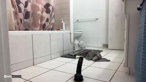 boysetsfire34 online show from October 8, 2025, 5:16 am