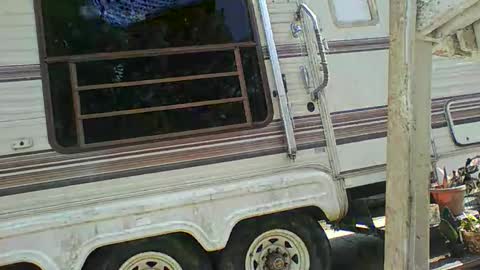 Snapshot of bpdbrittany chatting on February 9, 2025, 5:33 pm bpdbrittany online show from February 9, 2025, 5:33 pm