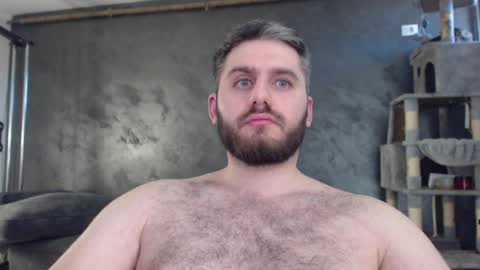 Snapshot of brad_pittfall chatting on December 19, 2024, 11:18 am ask me online show from December 19, 2024, 11:18 am