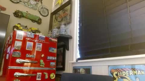 i am a naughty jedi knight online show from April 18, 2026, 12:36 am