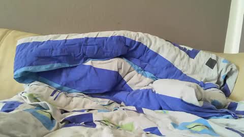 bramer8787 online show from February 1, 2025, 9:00 am