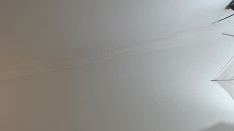 Snapshot of brandoncolee chatting on February 10, 2025, 12:29 pm BrandonCole online show from February 10, 2025, 12:29 pm