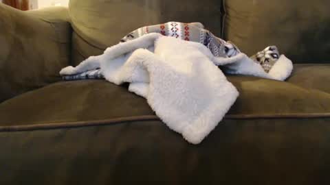 brandondot online show from December 31, 2024, 8:04 am