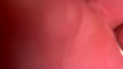 Snapshot of bravo323 chatting on February 24, 2025, 2:08 am bravo323 online show from February 24, 2025, 2:08 am