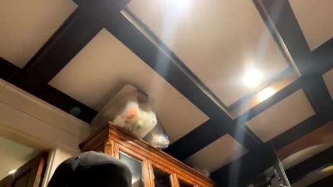 Snapshot of bravo323 chatting on October 2, 2025, 6:26 pm bravo323 online show from October 2, 2025, 6:26 pm