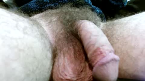 braxton78 online show from January 24, 2025, 4:05 am