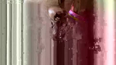 brewfan65 online show from October 24, 2025, 8:49 pm