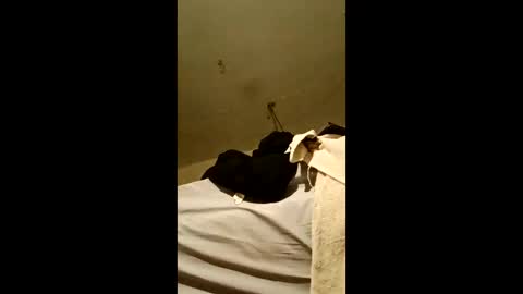 bricks4u online show from April 18, 2026, 3:43 am