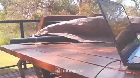 Snapshot of bridie3079 chatting on October 10, 2025, 1:15 am Fun Monster online show from October 10, 2025, 1:15 am