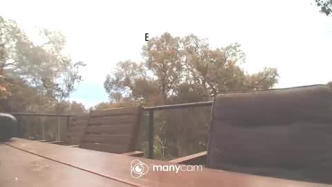 Snapshot of bridie3079 chatting on October 16, 2025, 2:01 am Fun Monster online show from October 16, 2025, 2:01 am