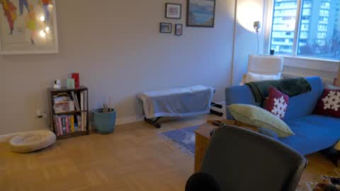 bright bi online show from December 29, 2024, 11:29 pm