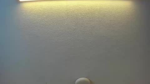 Brittany  online show from June 1, 2026, 7:59 pm