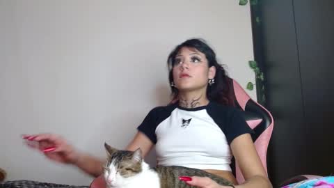 maru miaw   Please help me to reach 100 thumbs up online show from February 20, 2026, 6:26 am