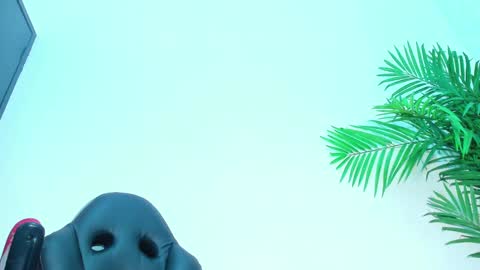 BRIYIT     online show from February 1, 2025, 6:32 am