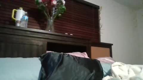 Snapshot of brownsugar0910 chatting on December 15, 2024, 3:45 am EtherealLilac online show from December 15, 2024, 3:45 am