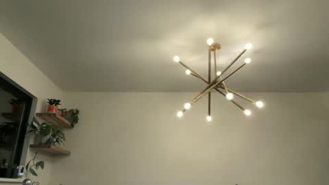 Bruce online show from April 12, 2026, 4:39 am