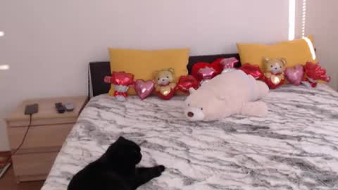 Snapshot of brunettgirl_ chatting on February 3, 2026, 7:02 am Ellis online show from February 3, 2026, 7:02 am