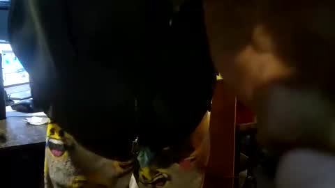 Snapshot of brushsquach chatting on January 26, 2025, 6:07 am Steve... aka SkinnieDippin aka TimberTramp online show from January 26, 2025, 6:07 am